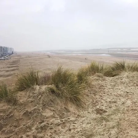 公寓 In Belgium Near Dunes & Sea *