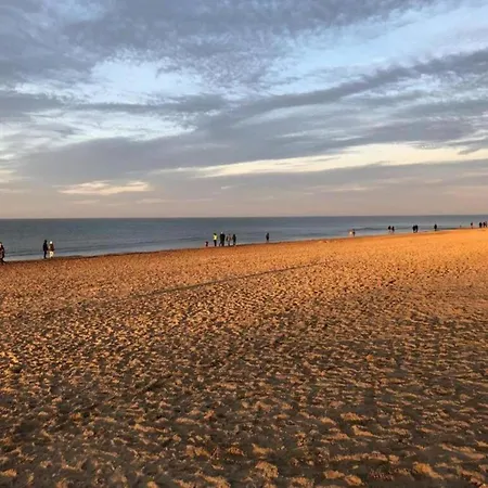 In Belgium Near Dunes & Sea 公寓 科克赛德