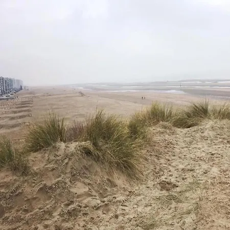 In Belgium Near Dunes & Sea شقة كوكسيجدي