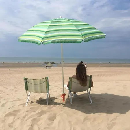 In Belgium Near Dunes & Sea