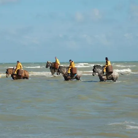 In Belgium Near Dunes & Sea شقة *