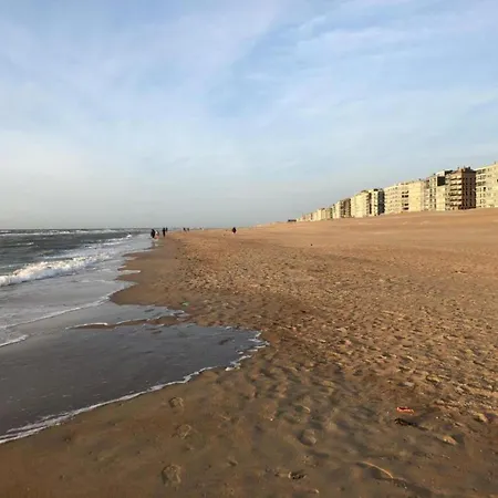 In Belgium Near Dunes & Sea كوكسيجدي