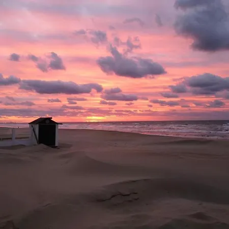 In Belgium Near Dunes & Sea * كوكسيجدي