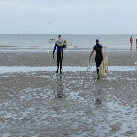 In Belgium Near Dunes & Sea *