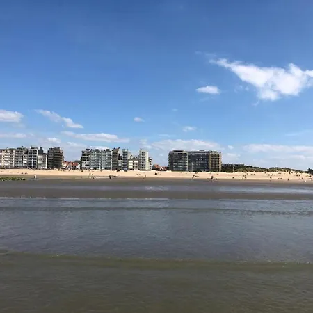 In Belgium Near Dunes & Sea 科克赛德